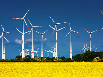 Beautiful wind farm in front of field with bright yellow flowers