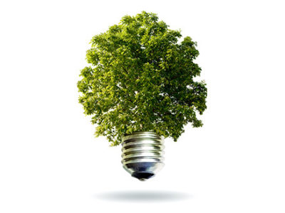 Bottom of light bulb and a tree in replace of the glass part to depict using green appliances can help our environment