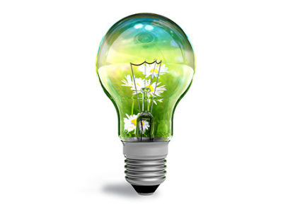 Lightbulb with graphic of terrarium in it