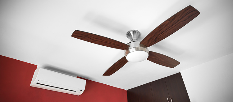 Ceiling-fan