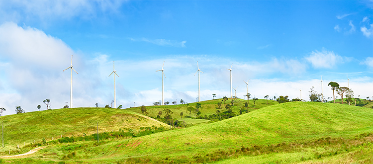 Picture-of-wind-turbines