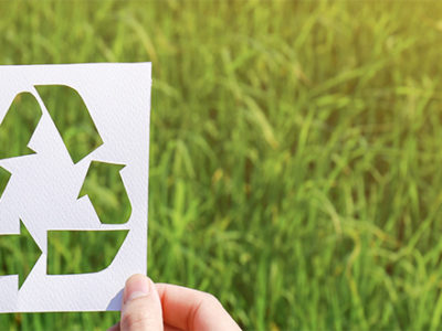 Recycle-symbol-against-grass