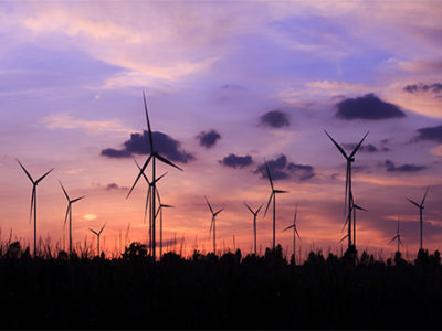 Farm-of-wind-turbine